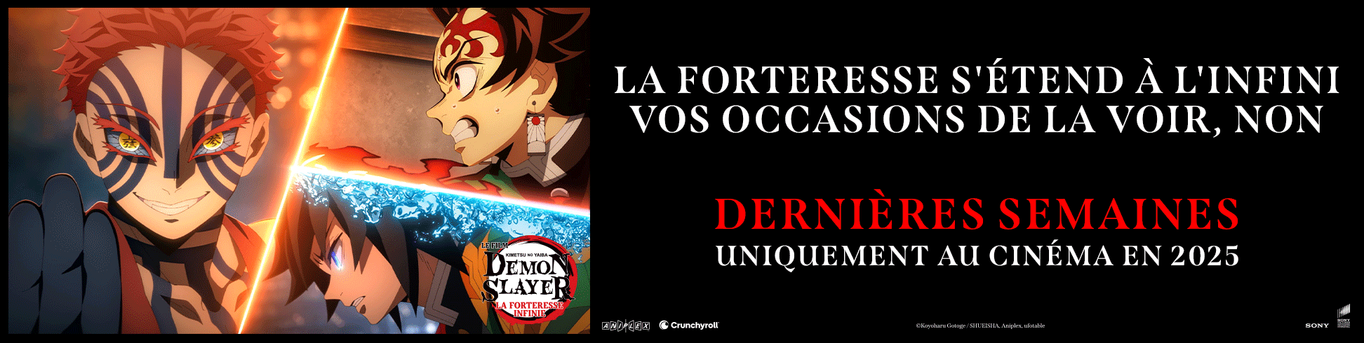 Category Banner Image